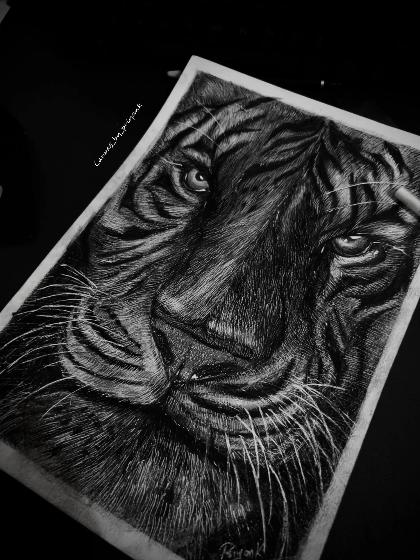 Fearless Tiger Face in Charcoal - Canvas by Priyank & Khushboo