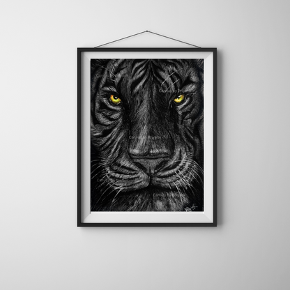 Silent Tiger in Charcoal