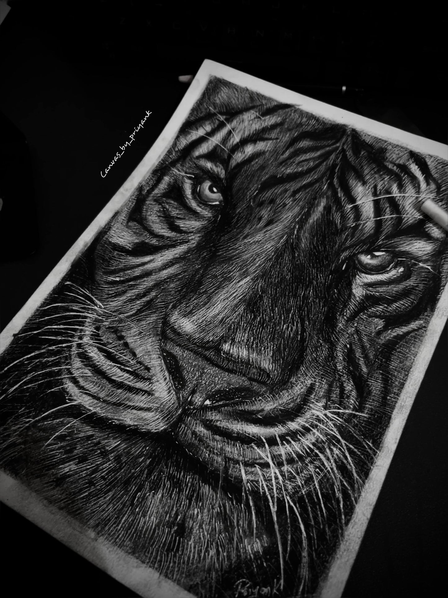 Silent Tiger in Charcoal
